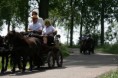 /album/menrit-04-06-2011/a06-04-2011-29-jpg/